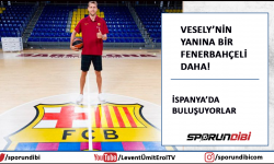 Vesely'nin yanına bir Fenerbahçeli daha!
