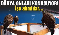 Görülmemiş olay... PSG 4 şahini işe aldı!