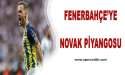 Fenerbahçe'ye Novak piyangosu!