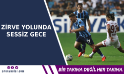 Zirve Yolunda Sessiz Gece