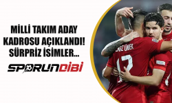 Milli Takım aday kadrosu açıklandı! Sürpriz isimler...