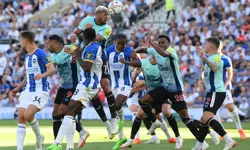 Newcastle United Brighton maçı canlı izle Bein Sports 3